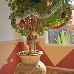 Casa Bonita * Эль-Пальмар