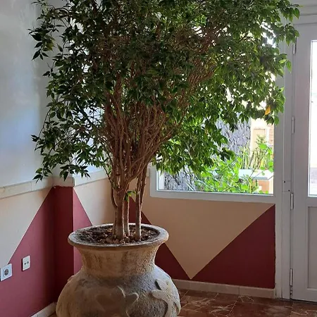 Casa Bonita Lägenhet Palm-mar