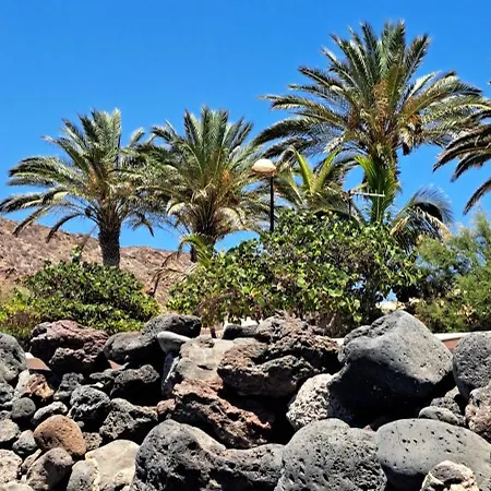 Casa Bonita Lägenhet